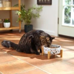 Frisco Elevated Terrazzo Non-skid Ceramic Bowl With Bamboo Stand 12 Frisco Elevated Terrazzo Non-skid Ceramic Bowl With Bamboo Stand -Paws Joy Outlet Store 363375 PT3. AC SS1800 V1658182548