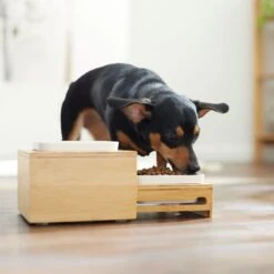 Frisco Elevated Non-Skid Bamboo Melamine Bowl Double Diner With Bamboo Stand -Paws Joy Outlet Store 363385 PT5. AC SS1800 V1657657267