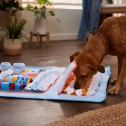 Frisco Vending Machine Snuffle Mat, Blue, Large -Paws Joy Outlet Store 363397 PT2. AC SS1800 V1660750518