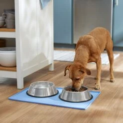 Frisco Silicone Dog & Cat Food Mat, Blue -Paws Joy Outlet Store 363399 PT2. AC SS1800 V1660750522