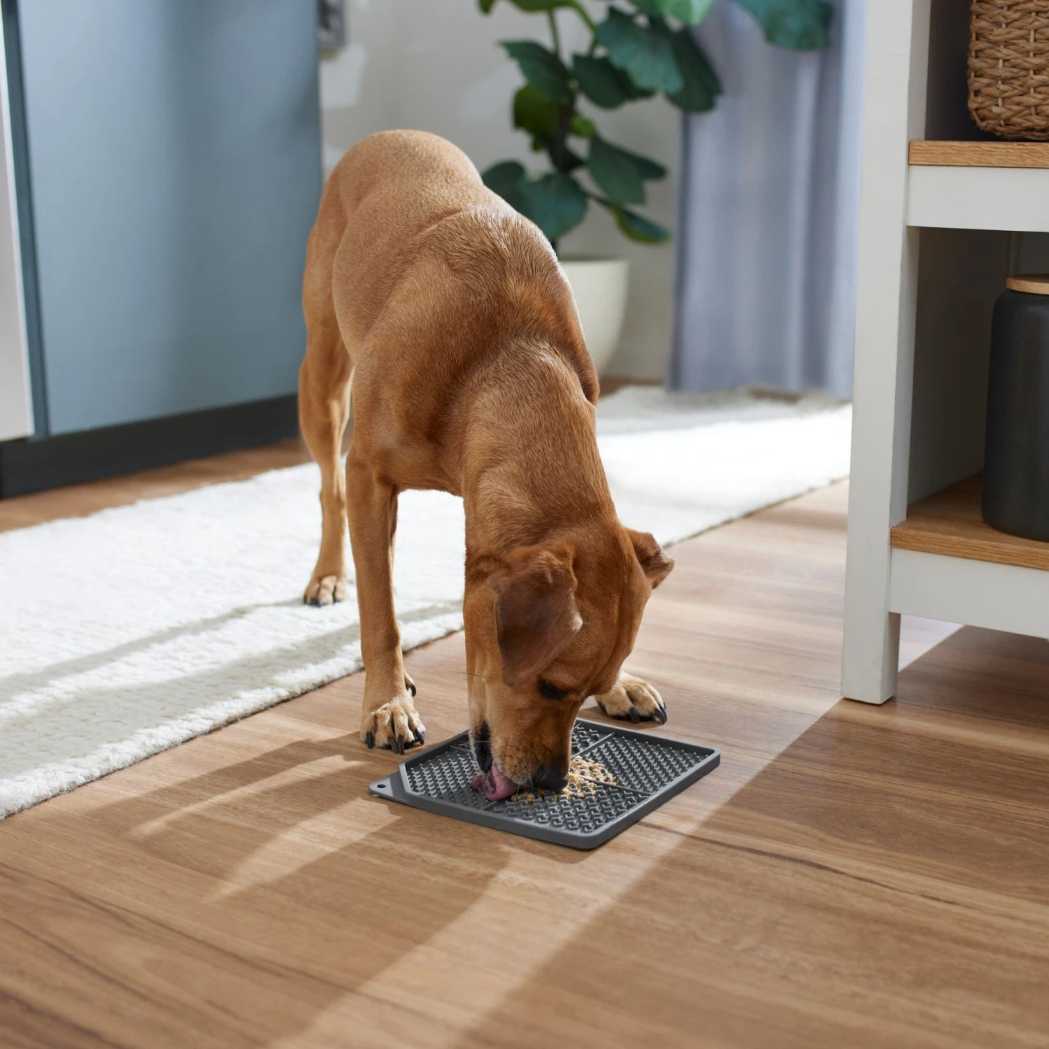 Frisco Non-skid Square Silicone Dog & Cat Lick Mat 3 Frisco Non-skid Square Silicone Dog & Cat Lick Mat - Image 3