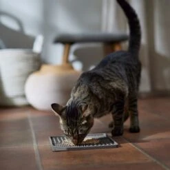 Frisco Non-skid Square Silicone Dog & Cat Lick Mat 9 Frisco Non-skid Square Silicone Dog & Cat Lick Mat -Paws Joy Outlet Store 363402 PT3. AC SS1800 V1665170734