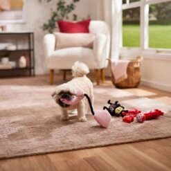 Frisco Valentine Rope, TPR & Plush Variety Pack Dog Toy -Paws Joy Outlet Store 371077 PT3. AC SS1800 V1668737456