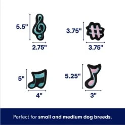 Frisco Valentine Love Song Record Player Hide & Seek Puzzle Plush Squeaky Dog Toy -Paws Joy Outlet Store 371087 PT2. AC SS1800 V1701364927