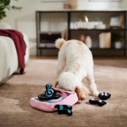 Frisco Valentine Love Song Record Player Hide & Seek Puzzle Plush Squeaky Dog Toy -Paws Joy Outlet Store 371087 PT3. AC SS1800 V1668737233