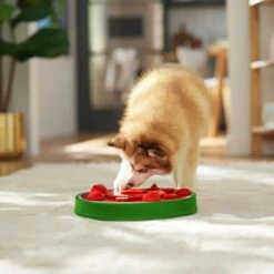 Frisco Watermelon Interactive Puzzle Dog Toy, Advanced 12 Frisco Watermelon Interactive Puzzle Dog Toy, Advanced -Paws Joy Outlet Store 506322 PT5. AC SS1800 V1674667034