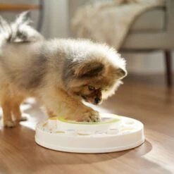 Frisco Tiered Cake Interactive Puzzle Dog Toy, Easy -Paws Joy Outlet Store 506346 PT5. AC SS1800 V1674666566