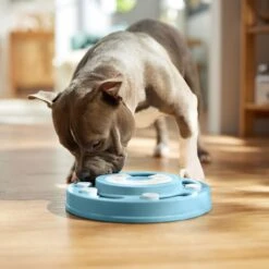 Frisco Two Tier Interactive Puzzle Dog Toy, Easy 12 Frisco Two Tier Interactive Puzzle Dog Toy, Easy -Paws Joy Outlet Store 506370 PT5. AC SS1800 V1674671566