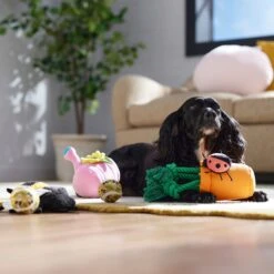 Frisco Spring Plush & Rope Variety Pack Squeaky Dog Toy -Paws Joy Outlet Store 541526 PT4. AC SS1800 V1702500565