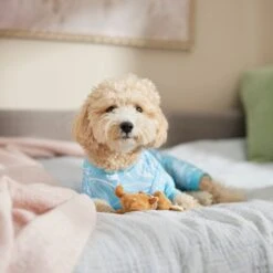 Frisco Blue Ocean Waves Dog & Cat Jersey PJs -Paws Joy Outlet Store 556142 PT5. AC SS1800 V1674828705