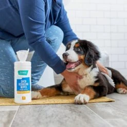 FURminator Long Hair Dog Deshedding Tool & Frisco Shed Reducing Waterless Grooming Wipes For Dogs & Cats, 50 Count -Paws Joy Outlet Store 575134 PT6. AC SS1800 V1657660396