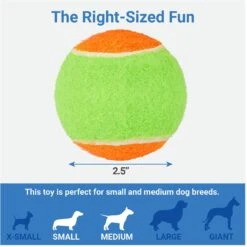 Frisco Dumbbell TPR Fetch Dog Toy + 3 Items -Paws Joy Outlet Store 582446 PT6. AC SS1800 V1658238980