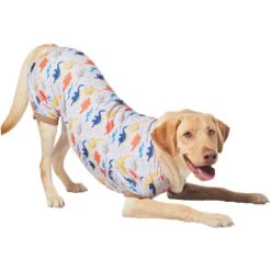 Frisco Dinosaur Dog & Cat Jersey PJs -Paws Joy Outlet Store 609062 PT4. AC SS1800 V1681488688