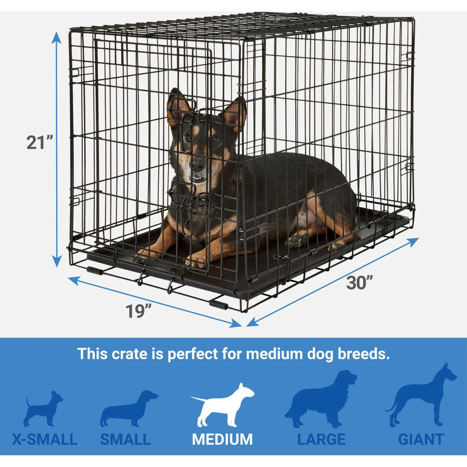 Frisco Fold & Carry Single Door Collapsible Wire Dog Crate + 4 Items 3 Frisco Fold & Carry Single Door Collapsible Wire Dog Crate + 4 Items - Image 3