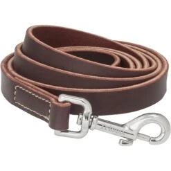 Frisco Top Grain Leather Leash + 4 Items -Paws Joy Outlet Store 630958 PT3. AC SS1800 V1662739527