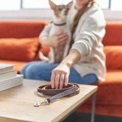 Frisco Top Grain Leather Leash + 4 Items -Paws Joy Outlet Store 630958 PT4. AC SS1800 V1662742186