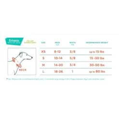 Frisco Top Grain Leather Leash + 4 Items -Paws Joy Outlet Store 630958 PT6. AC SS1800 V1662739468