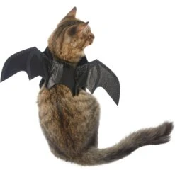 Frisco Bat Wings Dog & Cat Costume & Buckle-Down Batman Shield Polyester Dog Collar -Paws Joy Outlet Store 638566 PT2. AC SS1800 V1663254513