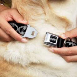 Frisco Bat Wings Dog & Cat Costume & Buckle-Down Batman Shield Polyester Dog Collar -Paws Joy Outlet Store 638566 PT6. AC SS1800 V1663254111