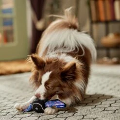 Frisco Halloween Bat Fetch Squeaky Tennis Ball Dog Toy -Paws Joy Outlet Store 668278 PT3. AC SS1800 V1689350166