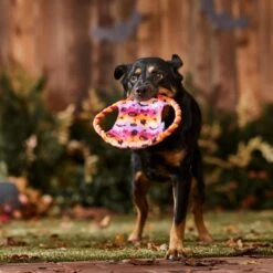 Frisco Halloween Ghost Swirl Fetch Flyer Dog Toy -Paws Joy Outlet Store 668294 PT3. AC SS1800 V1689278363