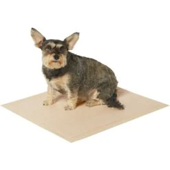 Frisco Large Eco-Conscious Dog Training & Potty Pads & American Journey Peanut Butter Recipe Grain-Free Oven Baked Crunchy Biscuit Dog Treats -Paws Joy Outlet Store 678574 PT3. AC SS1800 V1667863365