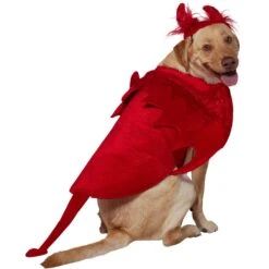 Frisco My Little Devil Dog & Cat Costume Accessory -Paws Joy Outlet Store 706622 PT3. AC SS1800 V1689278848
