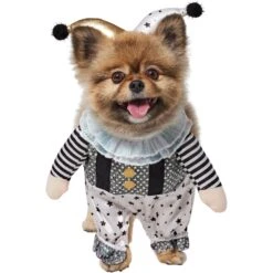 Frisco Front Walking Glitter Clown Dog & Cat Costume -Paws Joy Outlet Store 707542 PT2. AC SS1800 V1689351699