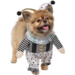 Frisco Front Walking Glitter Clown Dog & Cat Costume -Paws Joy Outlet Store 707542 PT3. AC SS1800 V1689278296