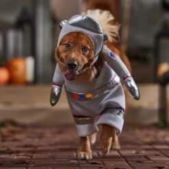 Frisco Front Walking LED Astronaut Dog & Cat Costume -Paws Joy Outlet Store 707630 PT7. AC SS1800 V1689278700