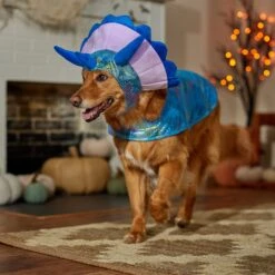 Frisco Dinosaur Dog & Cat Costume -Paws Joy Outlet Store 707894 PT7. AC SS1800 V1689350593
