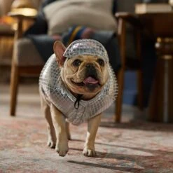 Frisco Disco Ball Dog & Cat Costume 14 Frisco Disco Ball Dog & Cat Costume -Paws Joy Outlet Store 707934 PT7. AC SS1800 V1689271312