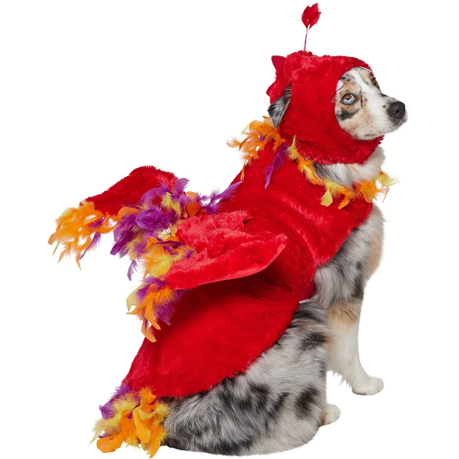 Frisco Flying Phoenix Dog & Cat Costume 1 Frisco Flying Phoenix Dog & Cat Costume