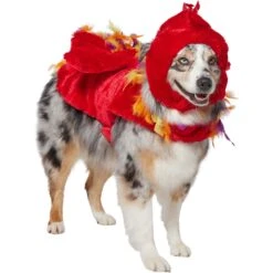 Frisco Flying Phoenix Dog & Cat Costume 10 Frisco Flying Phoenix Dog & Cat Costume -Paws Joy Outlet Store 708150 PT3. AC SS1800 V1691084928