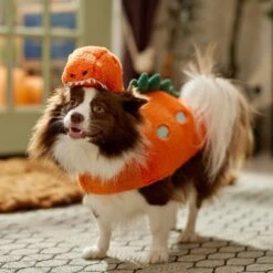 Frisco Furry Dinosaur Dog & Cat Costume -Paws Joy Outlet Store 708190 PT7. AC SS1800 V1689278373