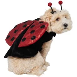 Frisco Glittered Ladybug Dog & Cat Costume -Paws Joy Outlet Store 708254 PT3. AC SS1800 V1689350986