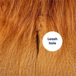 Frisco Lion Love Dog & Cat Costume -Paws Joy Outlet Store 708318 PT6. AC SS1800 V1689351045