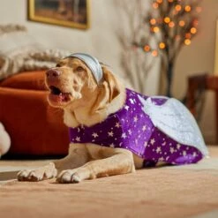 Frisco Shooting Stars Dog & Cat Costume -Paws Joy Outlet Store 708614 PT7. AC SS1800 V1689278699