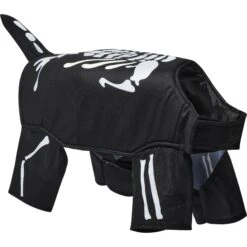 Frisco Glow In The Dark Skeleton Dog & Cat Costume -Paws Joy Outlet Store 709038 PT3. AC SS1800 V1689351051