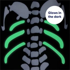 Frisco Glow In The Dark Skeleton Dog & Cat Costume -Paws Joy Outlet Store 709038 PT5. AC SS1800 V1689340910