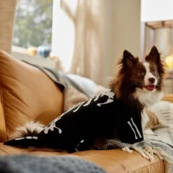 Frisco Glow In The Dark Skeleton Dog & Cat Costume -Paws Joy Outlet Store 709038 PT7. AC SS1800 V1689350988