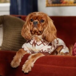 Frisco Fairisle Cozy Plush Fleece Dog & Cat PJs, Cream 14 Frisco Fairisle Cozy Plush Fleece Dog & Cat PJs, Cream -Paws Joy Outlet Store 719006 PT7. AC SS1800 V1692376367