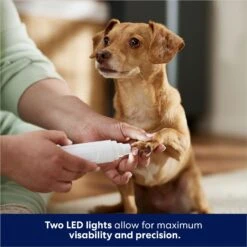 Rechargeable Cordless Cat & Dog 3-Speed Nail Grinder, White 11 Rechargeable Cordless Cat & Dog 3-Speed Nail Grinder, White -Paws Joy Outlet Store 729774 PT4. AC SS1800 V1687894786