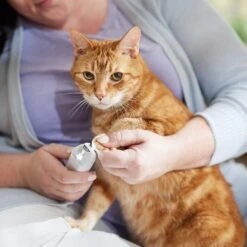 Rechargeable Cordless Cat & Dog 3-Speed Nail Grinder, White 12 Rechargeable Cordless Cat & Dog 3-Speed Nail Grinder, White -Paws Joy Outlet Store 729774 PT5. AC SS1800 V1683147135