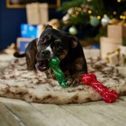 Frisco Holiday Naughty & Nice TPR Bone Squeaky Dog Toy 7 Frisco Holiday Naughty & Nice TPR Bone Squeaky Dog Toy -Paws Joy Outlet Store 739702 PT3. AC SS1800 V1694812786