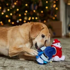 Frisco Holiday Arctic Buddies 2-in-1 Rip For Surprise Plush & Rubber Dog Toy -Paws Joy Outlet Store 739718 PT3. AC SS1800 V1694812848
