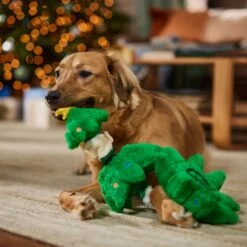 Frisco Holiday Elf In A Tree Bungee Plush Squeaky Dog Toy -Paws Joy Outlet Store 739846 PT3. AC SS1800 V1695047600