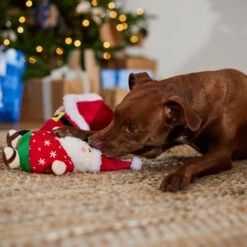 Frisco Holiday Santa On Vacation 2-in-1 Plush Squeaky Dog Toy 9 Frisco Holiday Santa On Vacation 2-in-1 Plush Squeaky Dog Toy -Paws Joy Outlet Store 739894 PT3. AC SS1800 V1695045718