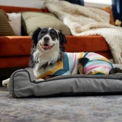 Frisco Cozy Waffle Knit Dog & Cat PJs, Stripe -Paws Joy Outlet Store 744246 PT7. AC SS1800 V1692377766