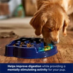 Frisco Interactive Dog Slow Feeder Bowl 8 Frisco Interactive Dog Slow Feeder Bowl -Paws Joy Outlet Store 761238 PT2. AC SS1800 V1696254583